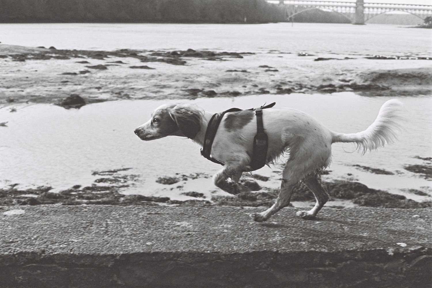 Adventures in 35mm film