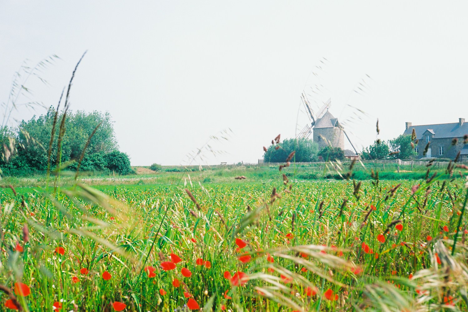 Adventures in 35mm film