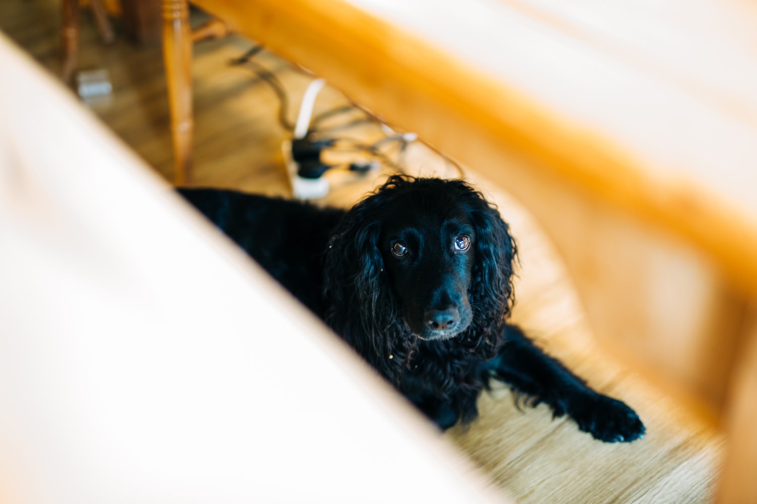 Relaxed Scottish Borders wedding photography near Edinburgh